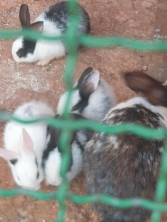 شقة Ferme Bouhouch Oulad Yakoub المظهر الخارجي الصورة