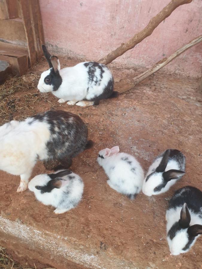 شقة Ferme Bouhouch Oulad Yakoub المظهر الخارجي الصورة